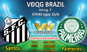 Read more about the article SOI KÈO : 07h45 ngày 15/6: Santos vs Palmeiras.