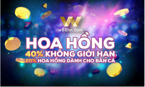 Read more about the article Một số lưu ý khi tham gia chương trình Đại Lý W88!