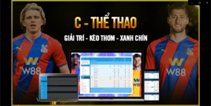 Read more about the article C-THỂ THAO – TRAO CƠ HỘI TĂNG LỢI NHUẬN CHO ĐẠI LÝ THÀNH VIÊN