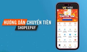 Read more about the article HƯỚNG DẪN GỬI TIỀN SHOPEEPAY – THÀNH CÔNG 100%