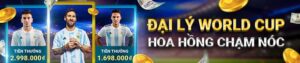 Read more about the article ĐẠI LÝ WORLD CUP – HOA HỒNG CHẠM NÓC