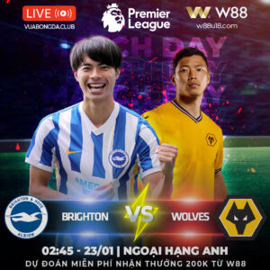 Read more about the article [W88 – MINIGAME] BRIGHTON VS WOLVES | NGOẠI HẠNG ANH | SÂN AMEX NGẬP TRÀN BÀN THẮNG