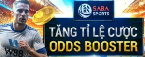 Read more about the article CÙNG SABA THỂ THAO ĐỒNG HÀNH GIẢI NGOẠI HẠNG ANH VỚI PHIẾU KHUYẾN MÃI TĂNG TỈ LỆ CƯỢC ODDS BOOSTER