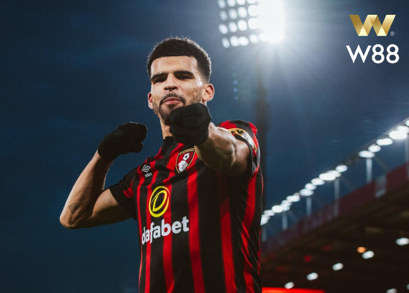 You are currently viewing [NHẬN ĐỊNH BÓNG ĐÁ] BOURNEMOUTH – WOLVES | 22:00, 01/03 | TIÊU DIỆT BẦY SÓI